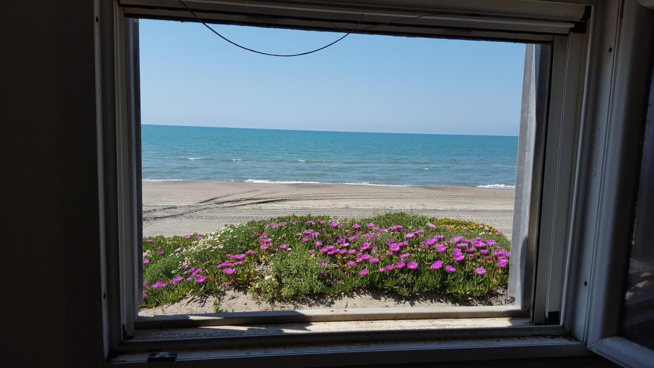 Appartamento Casina sulla Sabbia Torvaianica Esterno foto